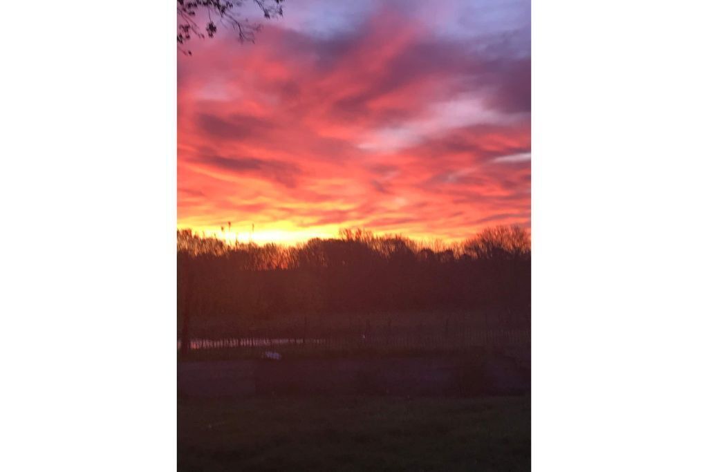 Photo of Others in Lafayette County