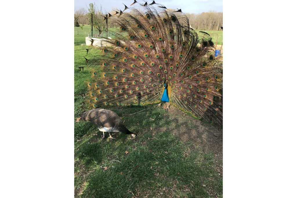 Photo of Outdoor in Lafayette County