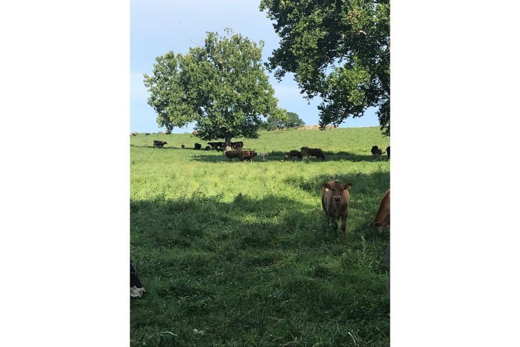 Photo of Outdoor in Lafayette County