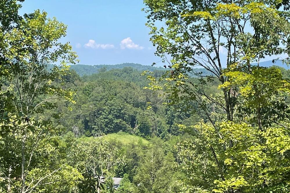 Photo of Outdoor in Caton