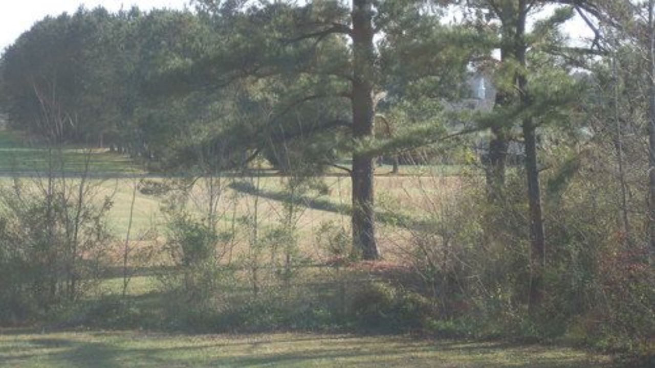 Photo of Others in Sunbury