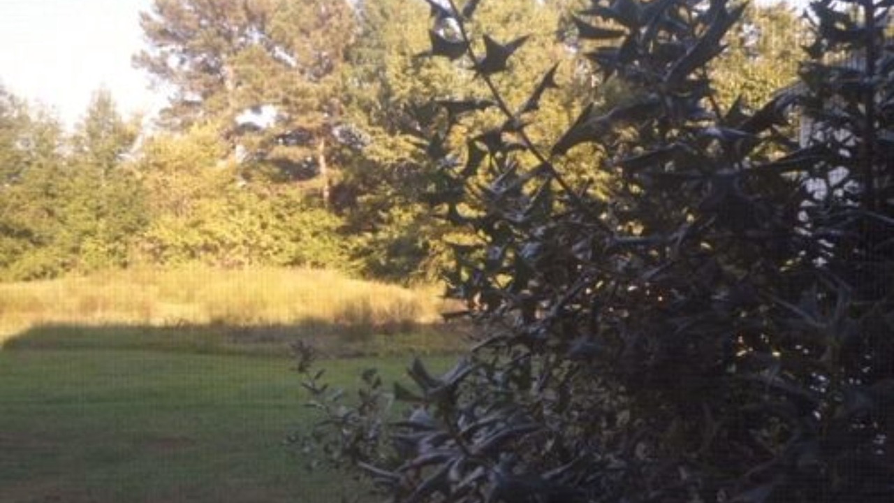Photo of Outdoor in Sunbury