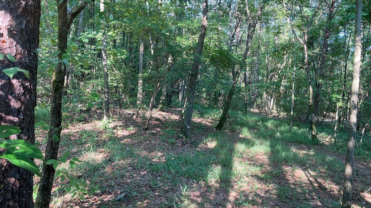 Photo of Outdoor in Cedar Bluff