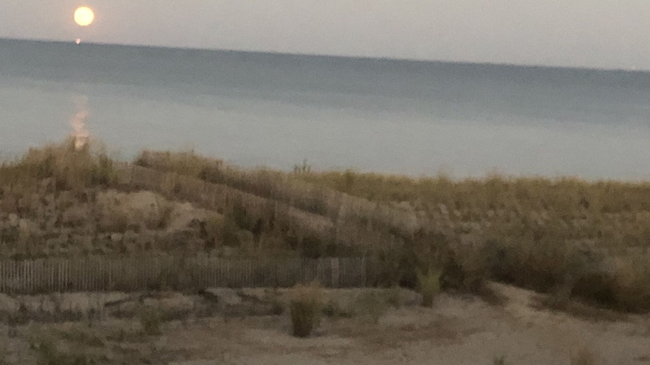 Photo of Others in Broadkill Beach