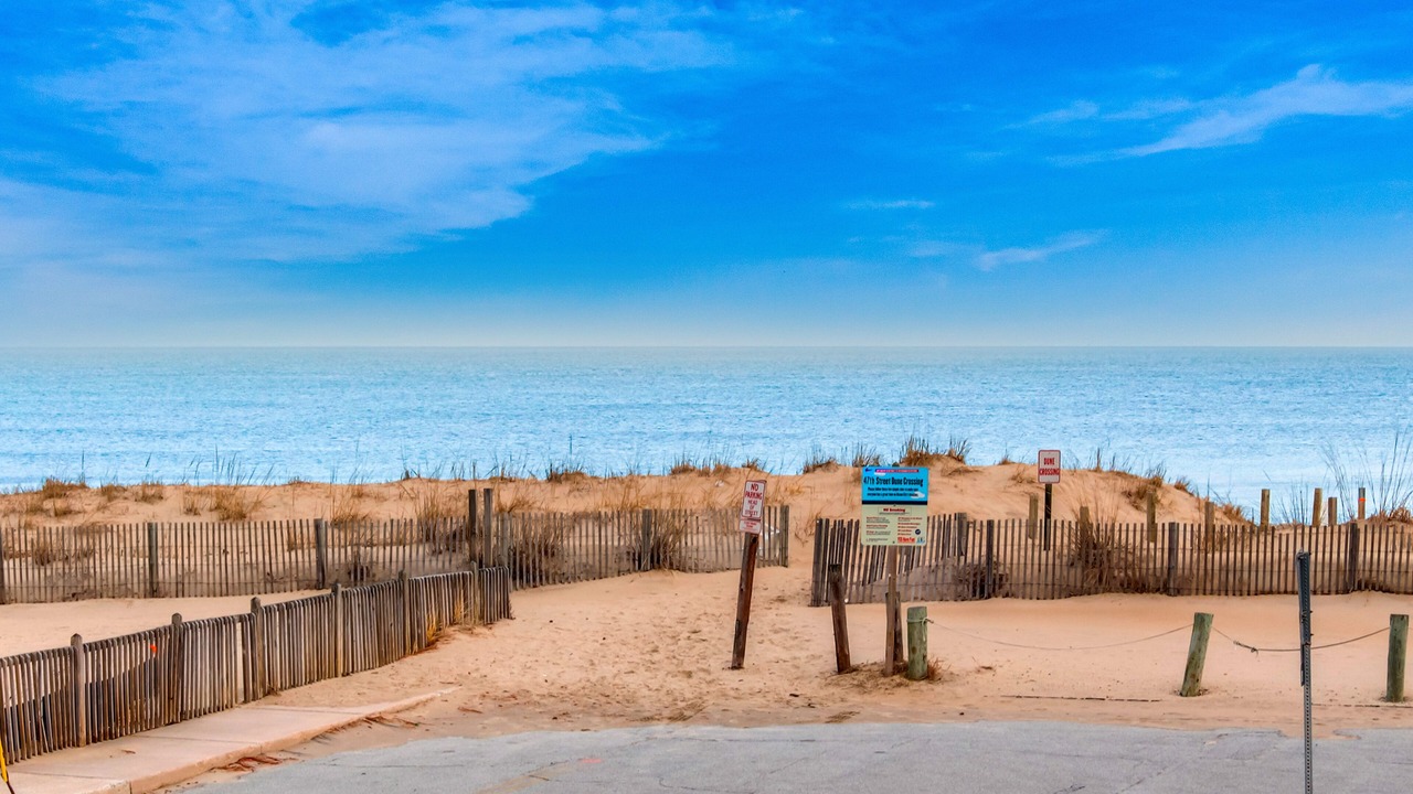 Photo of Others in Midtown Ocean City