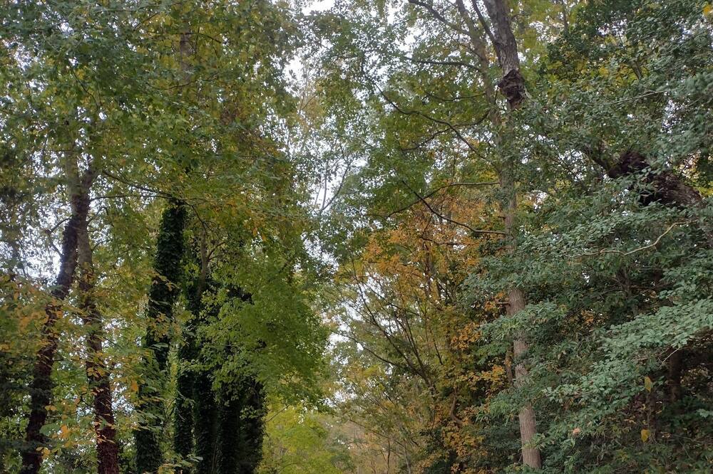 Photo of Outdoor in Green Creek