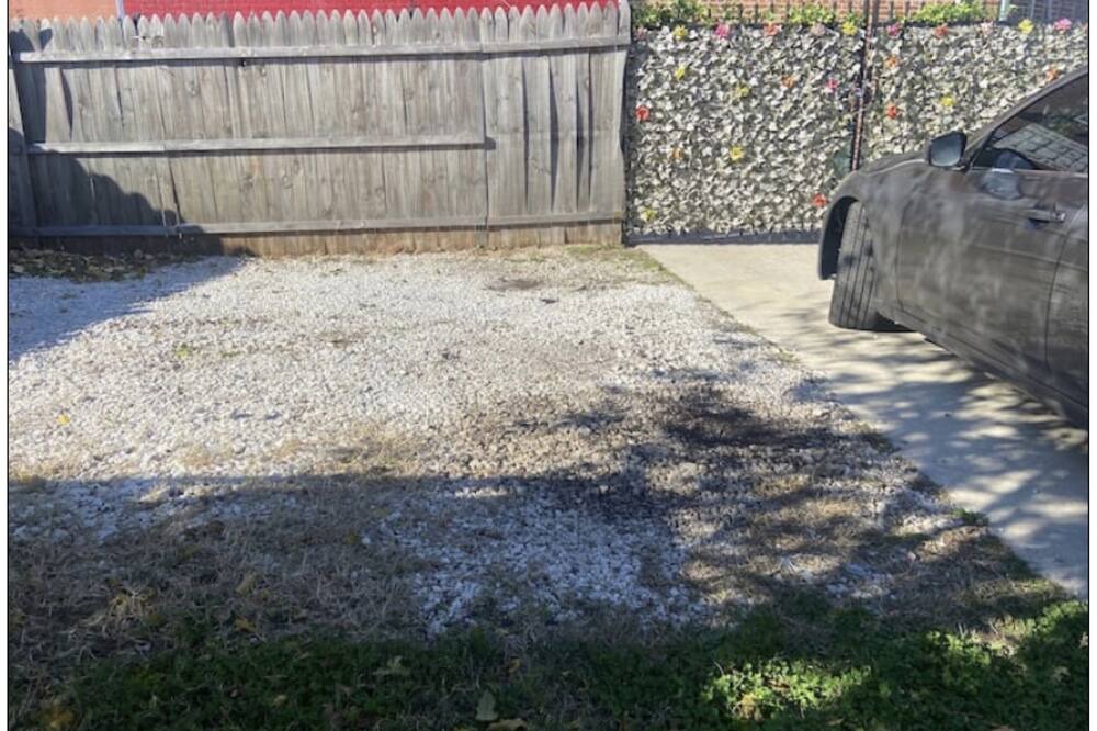 Photo of Others in Druid Heights