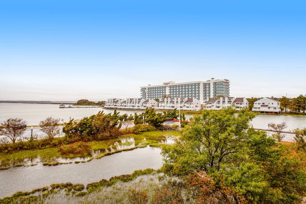 Photo of Others in Midtown Ocean City