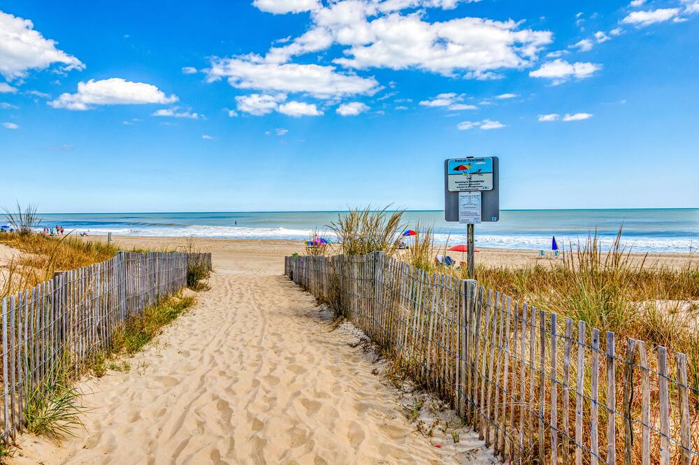 Photo of Others in Midtown Ocean City