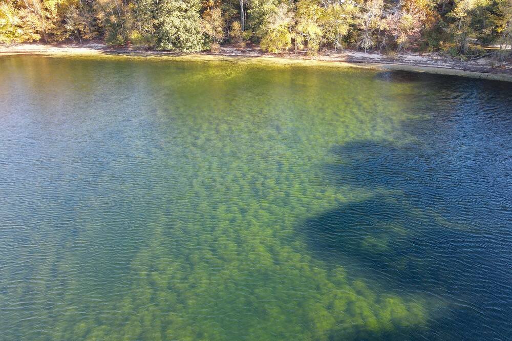 Photo of Others in Rio Grande