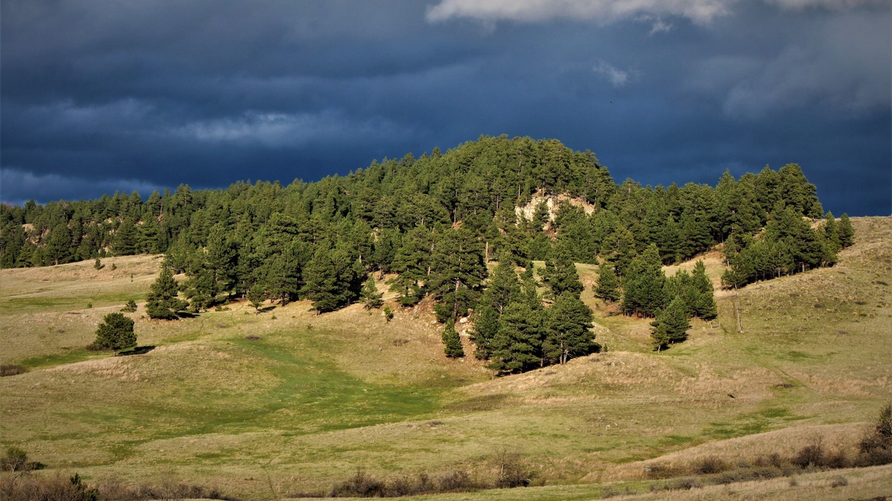Photo of Others in Belle Fourche