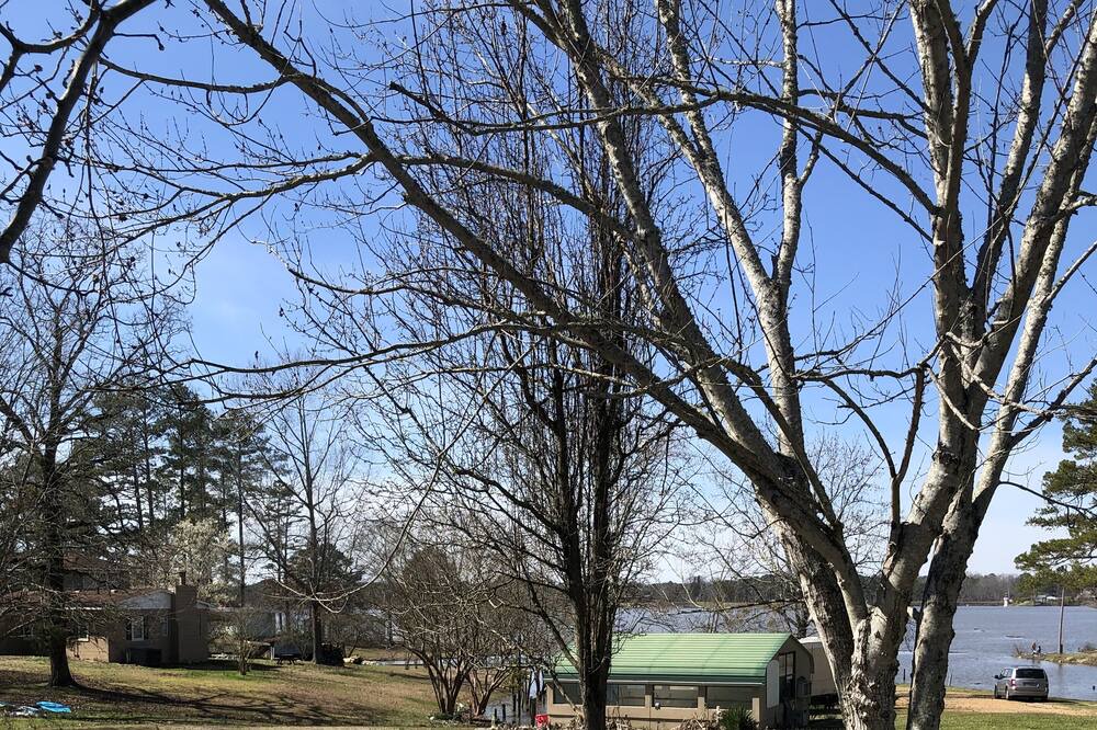 Photo of Outdoor in Centre