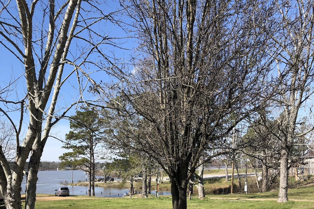 Photo of Outdoor in Centre