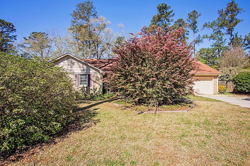 Photo of Outdoor in Westover