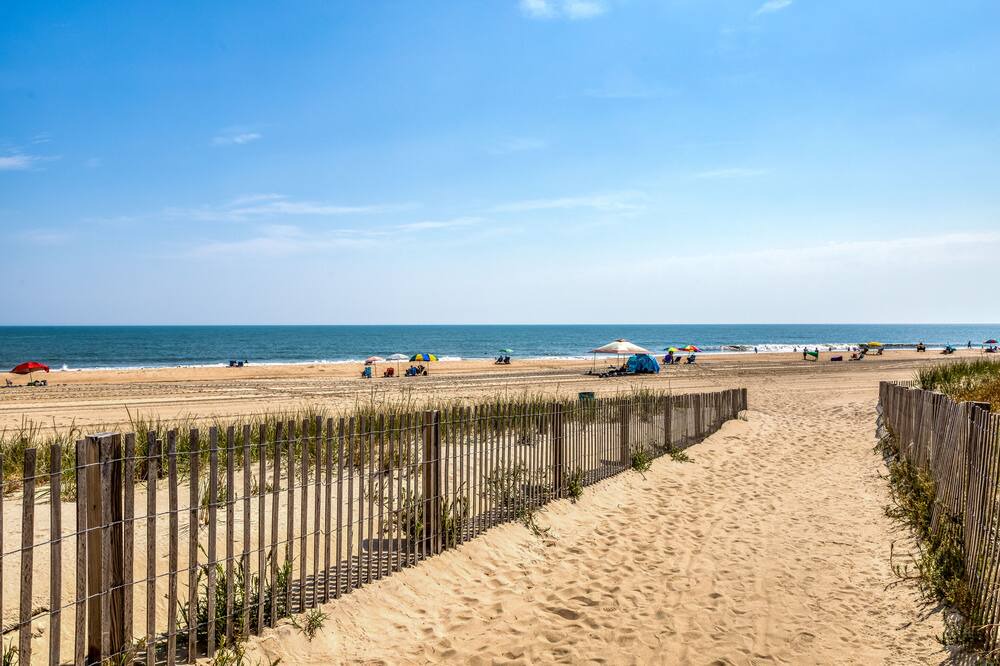 Photo of Others in North Ocean City