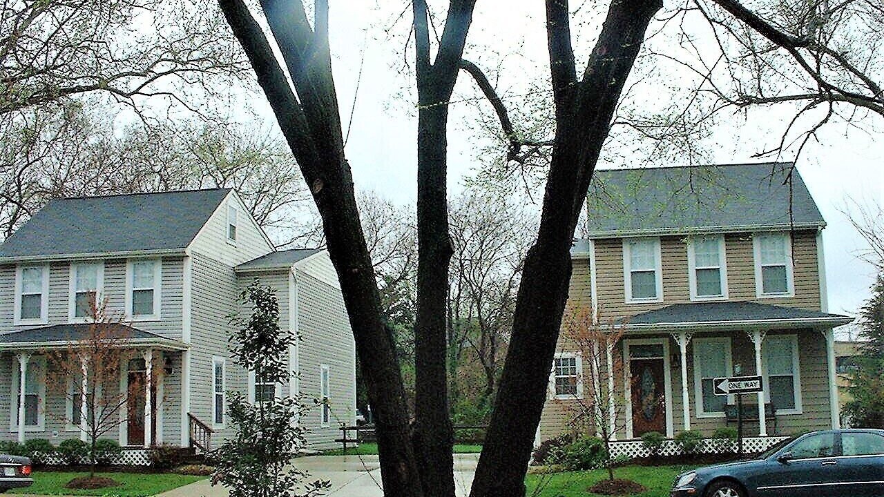 Photo of Outdoor in Eastport
