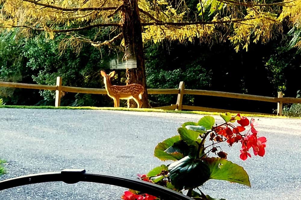 Photo of Outdoor in Glen Arm