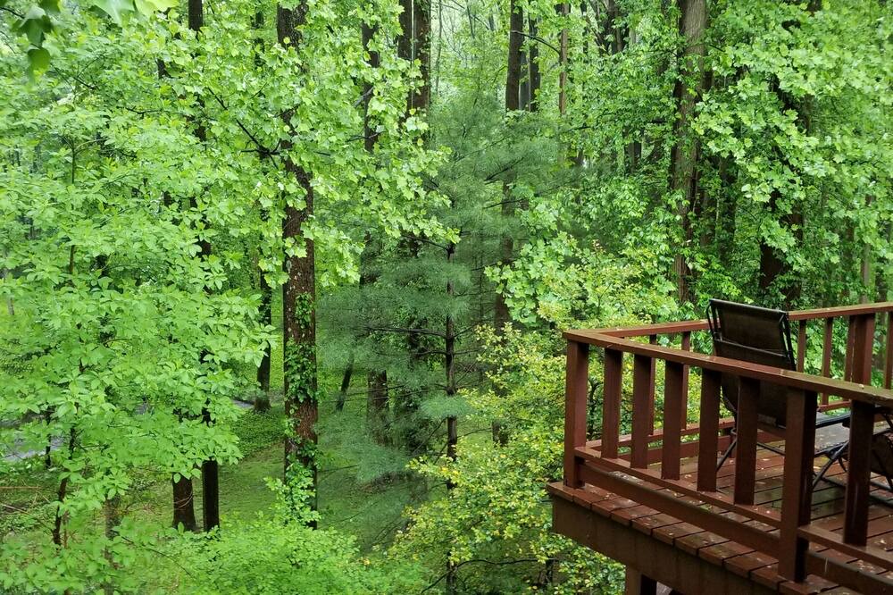 Photo of Outdoor in Glen Arm