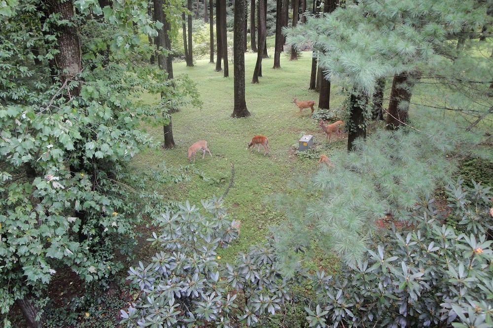 Photo of Outdoor in Glen Arm