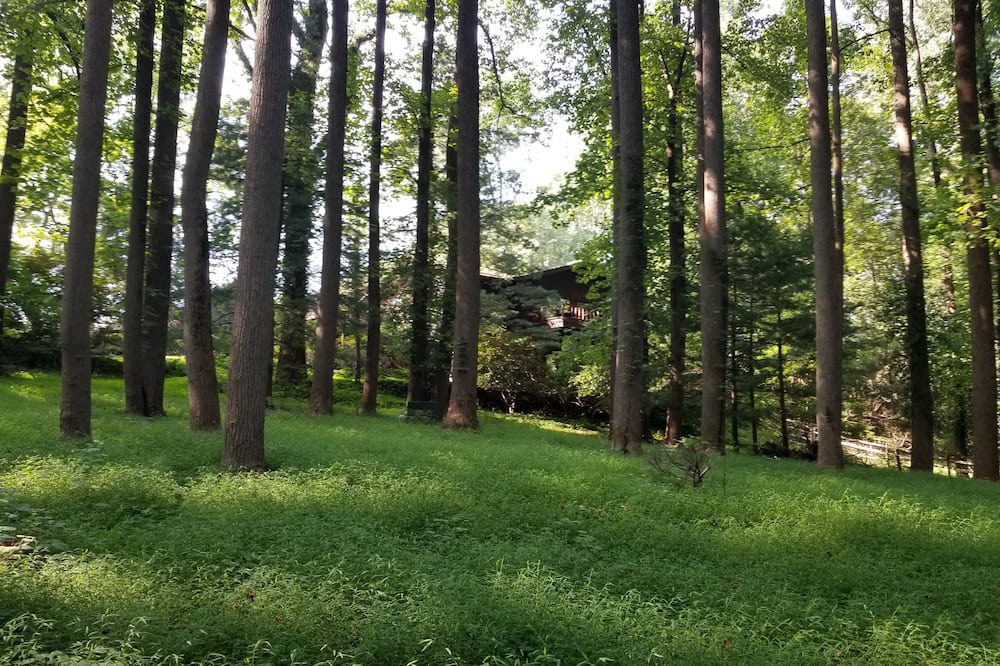Photo of Outdoor in Glen Arm