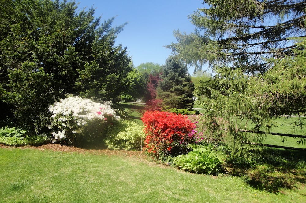 Photo of Outdoor in Glen Arm