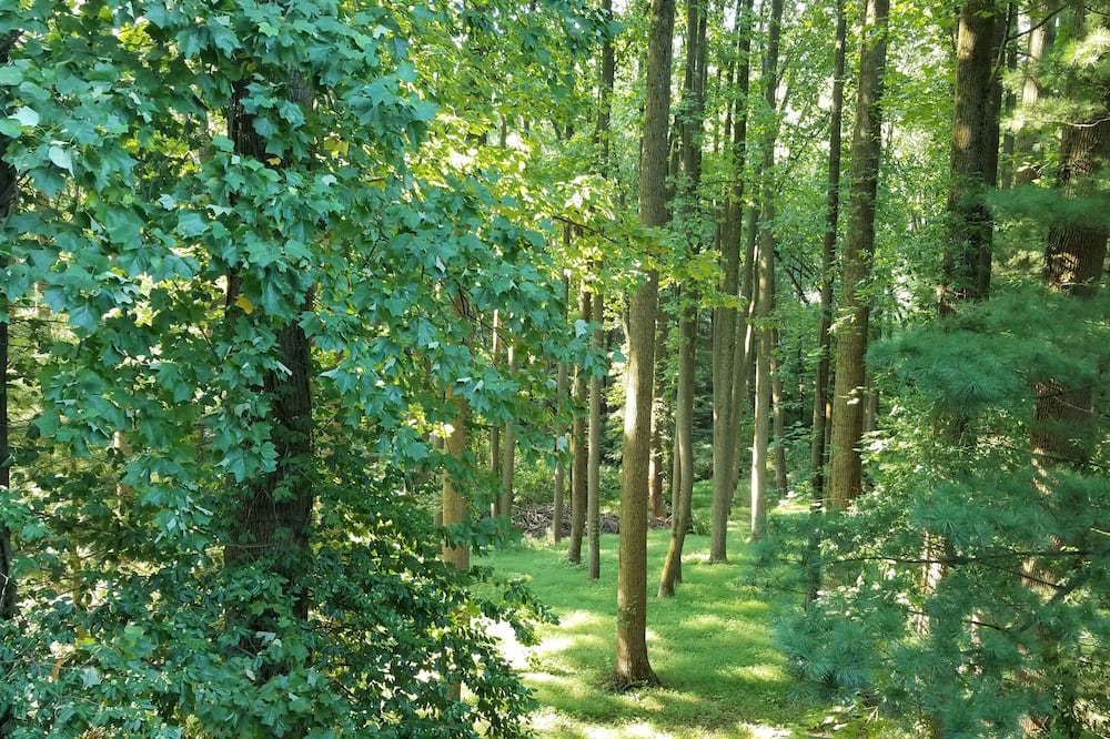 Photo of Outdoor in Glen Arm