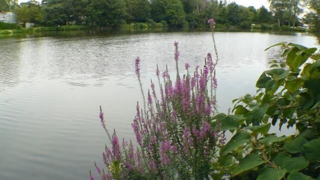 Photo of Outdoor in Spring Lake