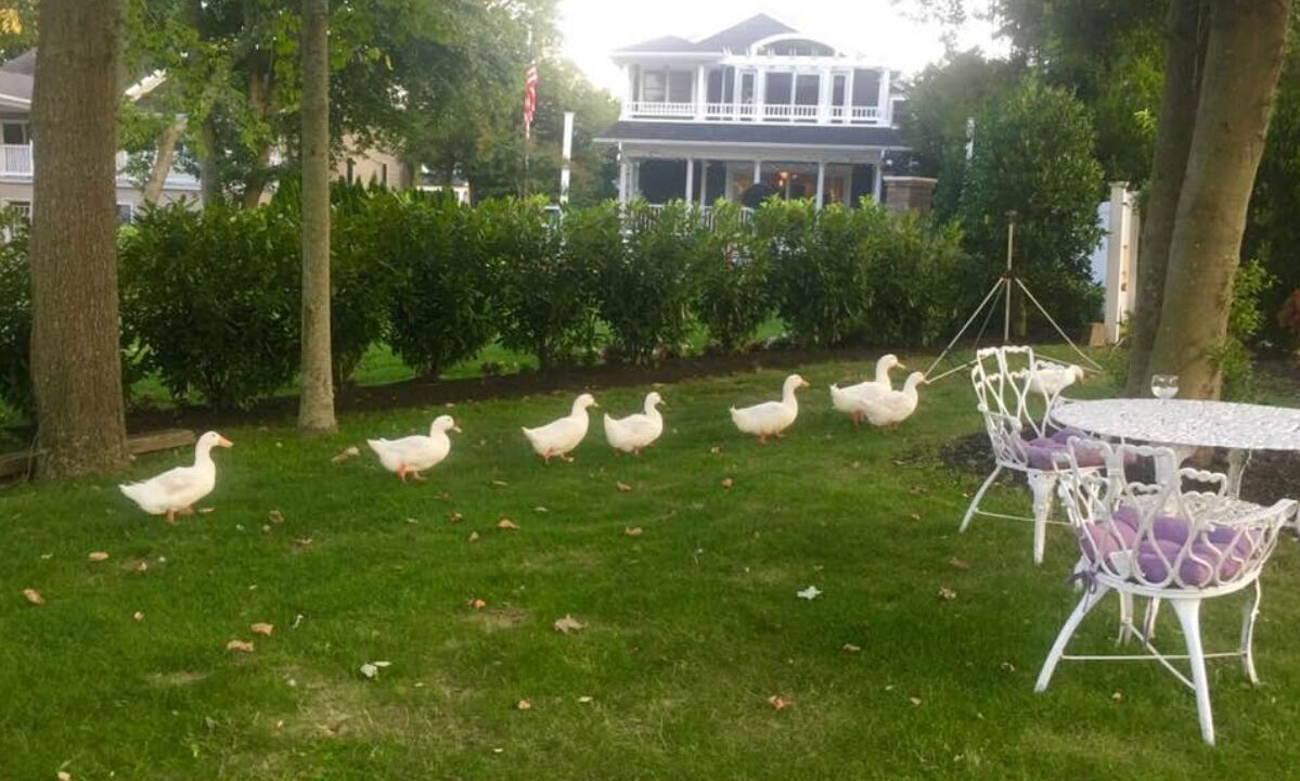 Photo of Outdoor in Spring Lake