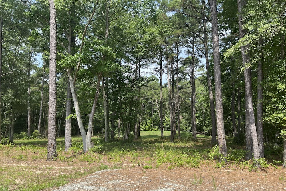 Photo of Outdoor in Georgetown