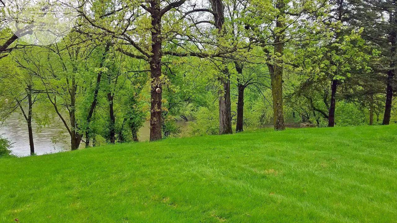 Photo of Outdoor in Viola