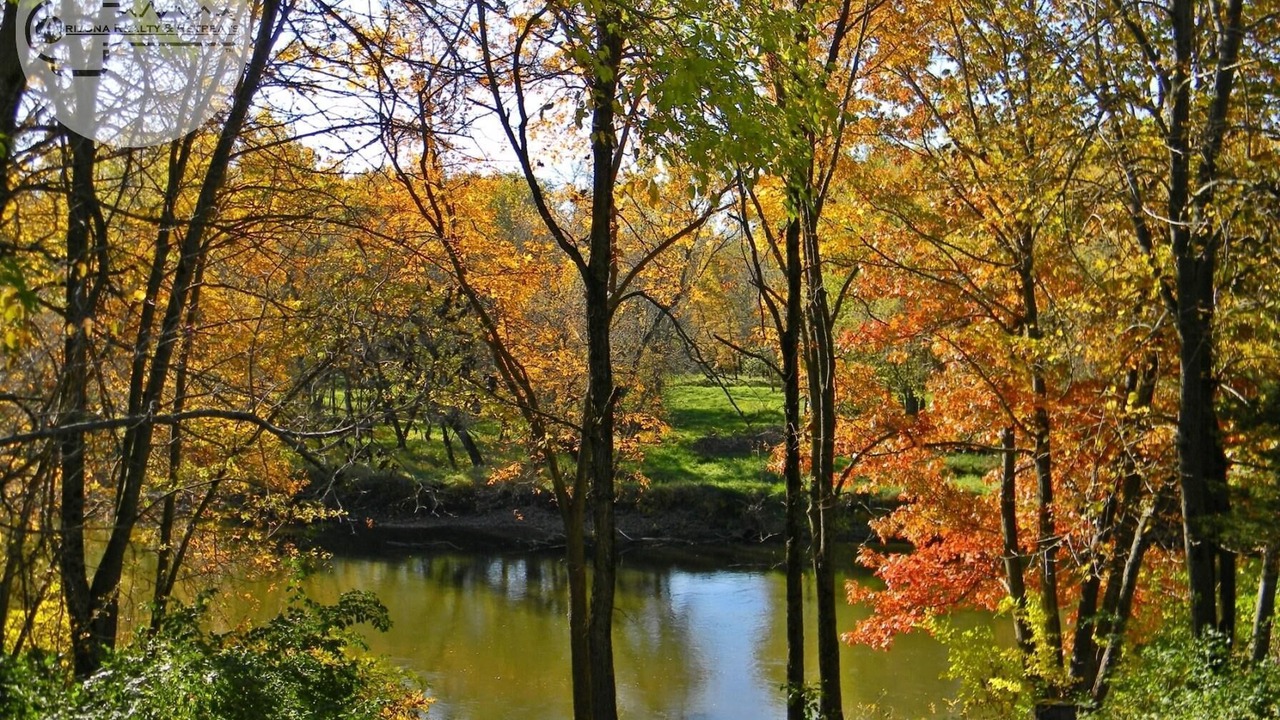Photo of Outdoor in Viola