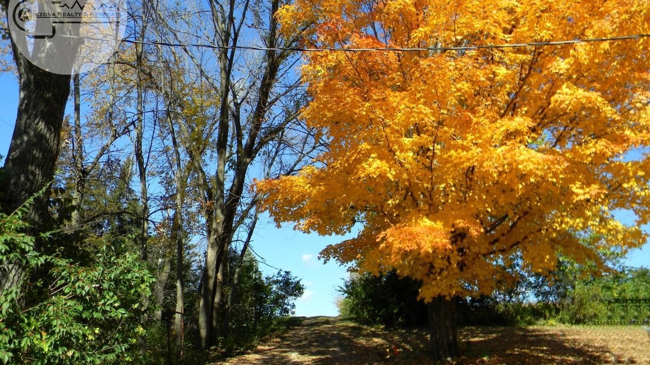 Photo of Outdoor in Viola