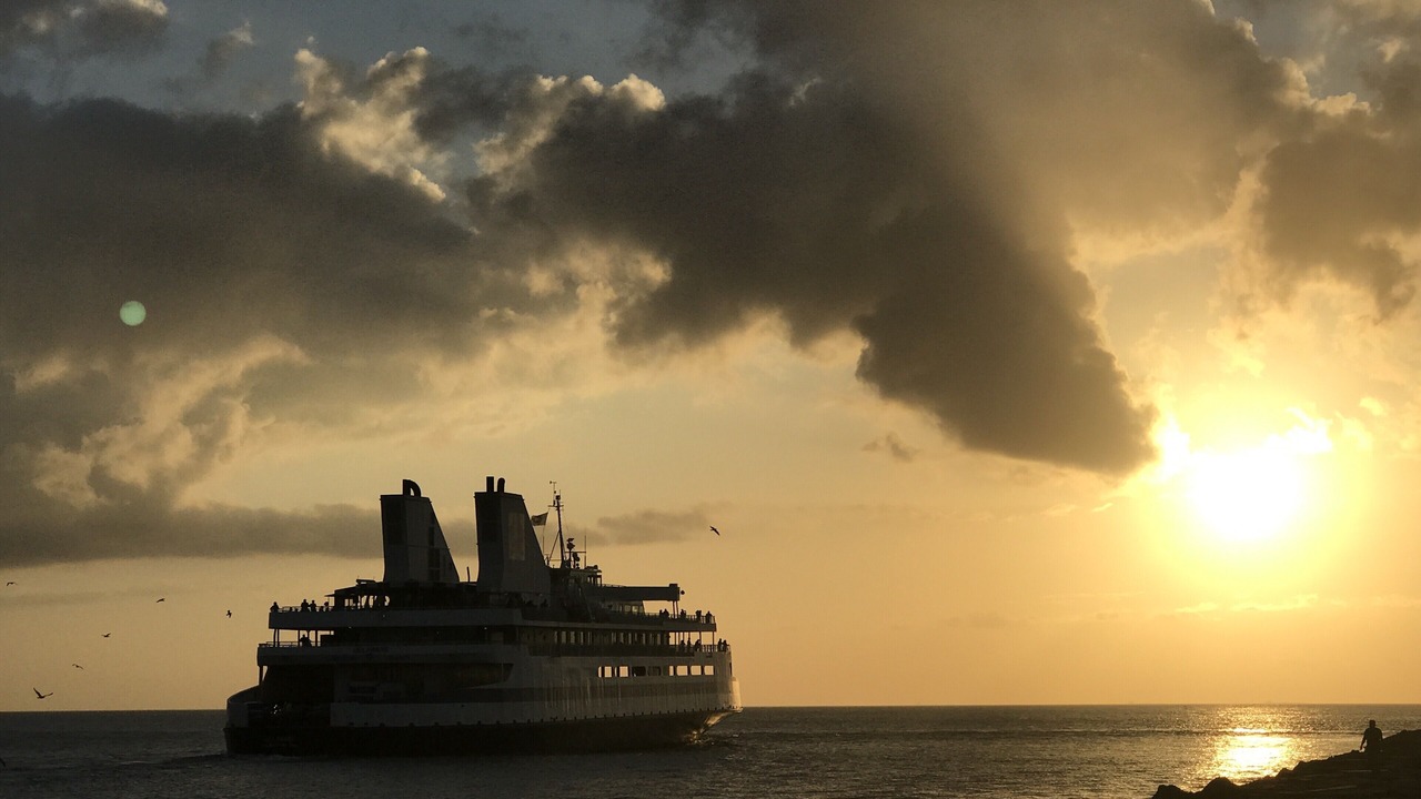 Photo of Others in North Cape May