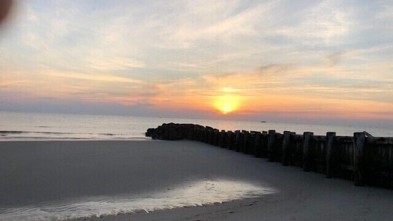 Photo of Others in North Cape May