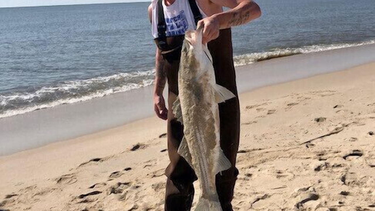 Photo of Others in North Cape May