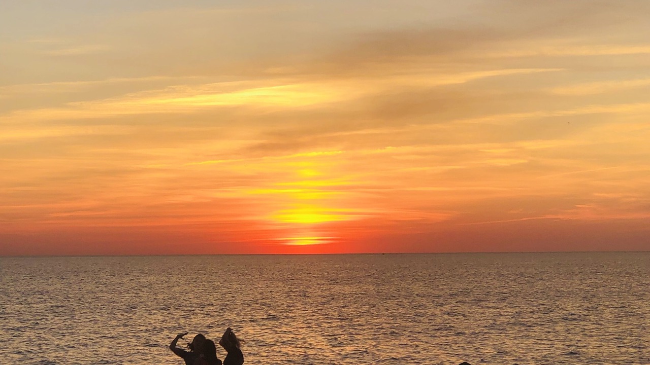 Photo of Others in North Cape May