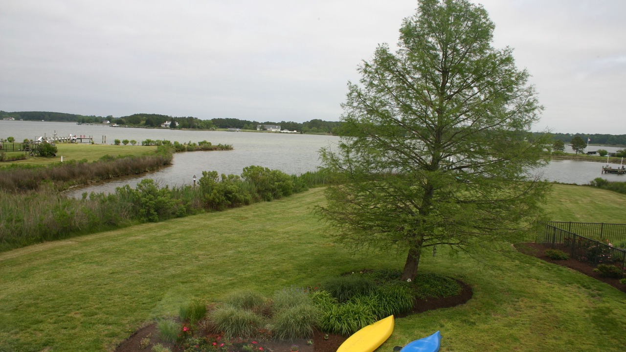 Photo of Outdoor in Woolford