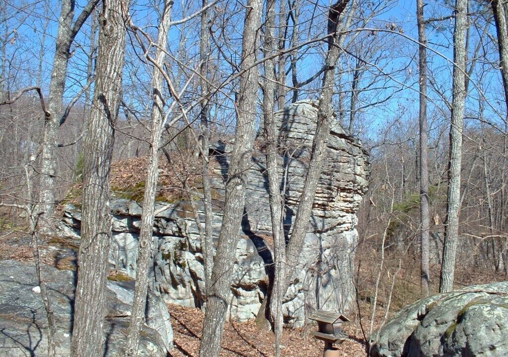 Photo of Outdoor in Mentone