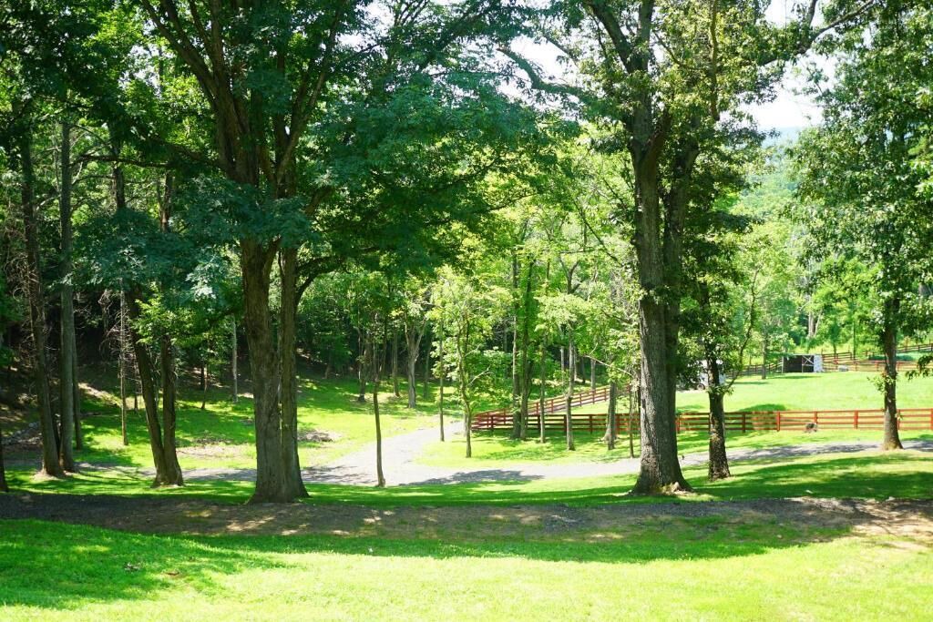 Photo of Outdoor in Leesburg