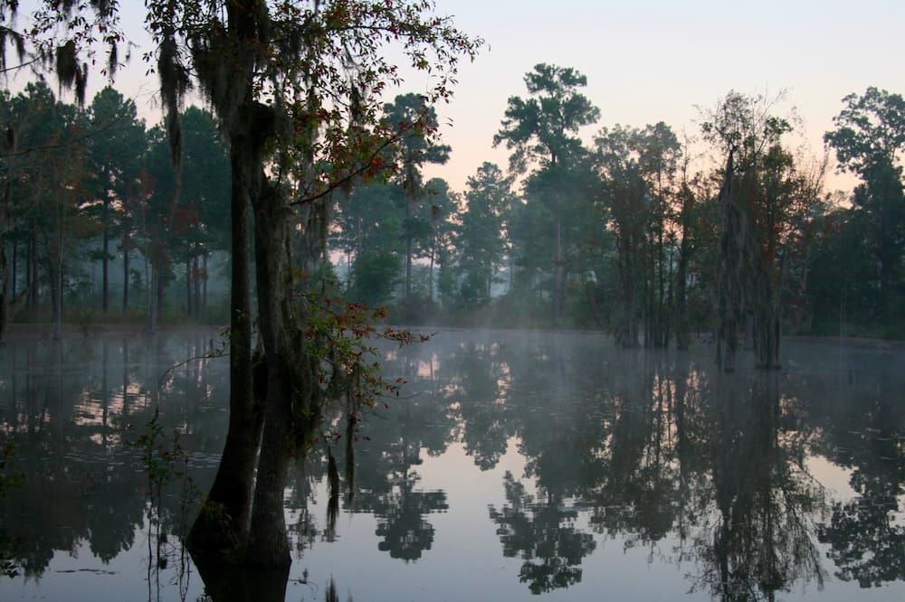 Photo of Others in Pineville