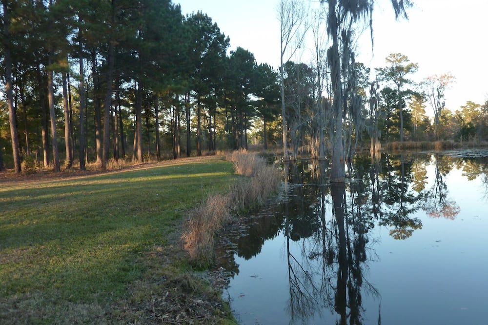 Photo of Others in Pineville