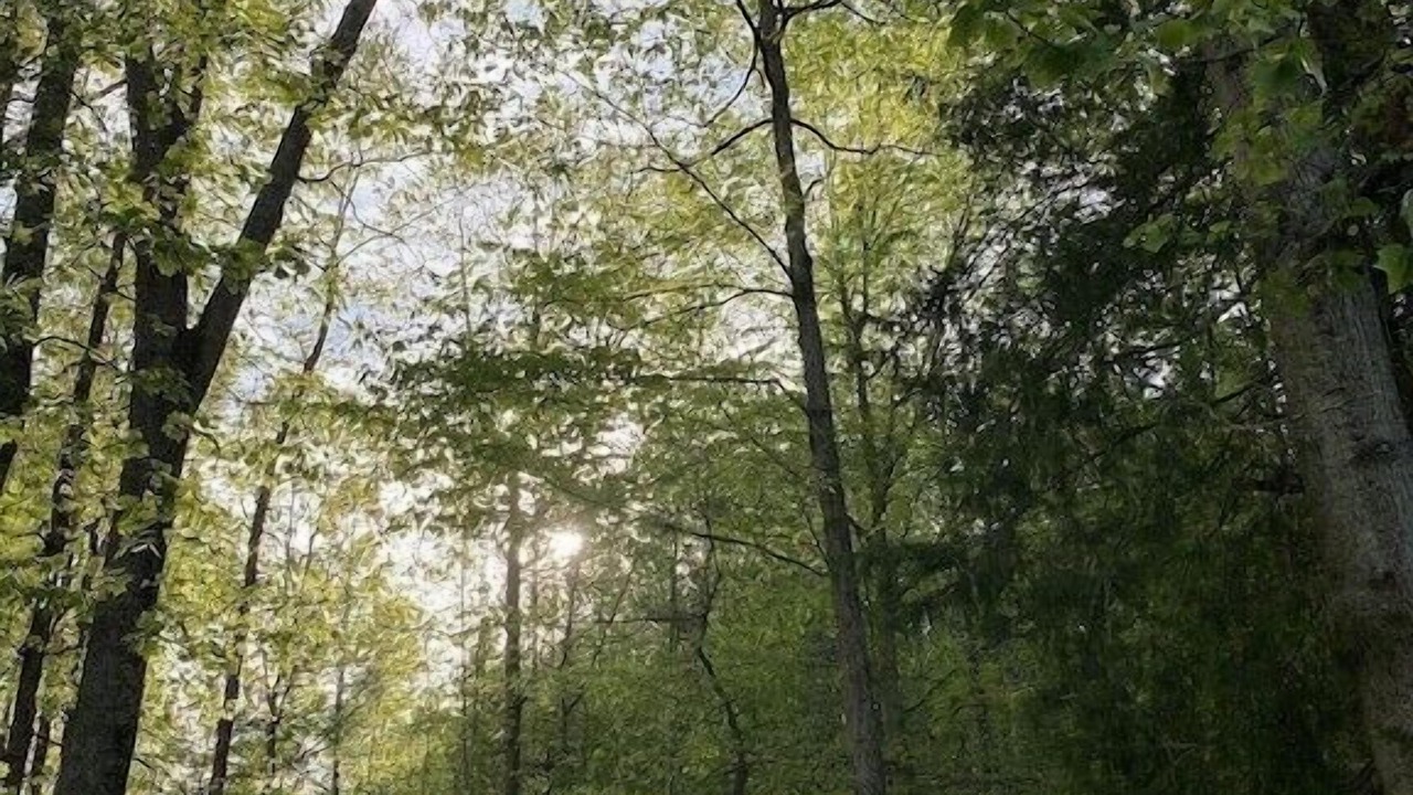 Photo of Others in Unionville