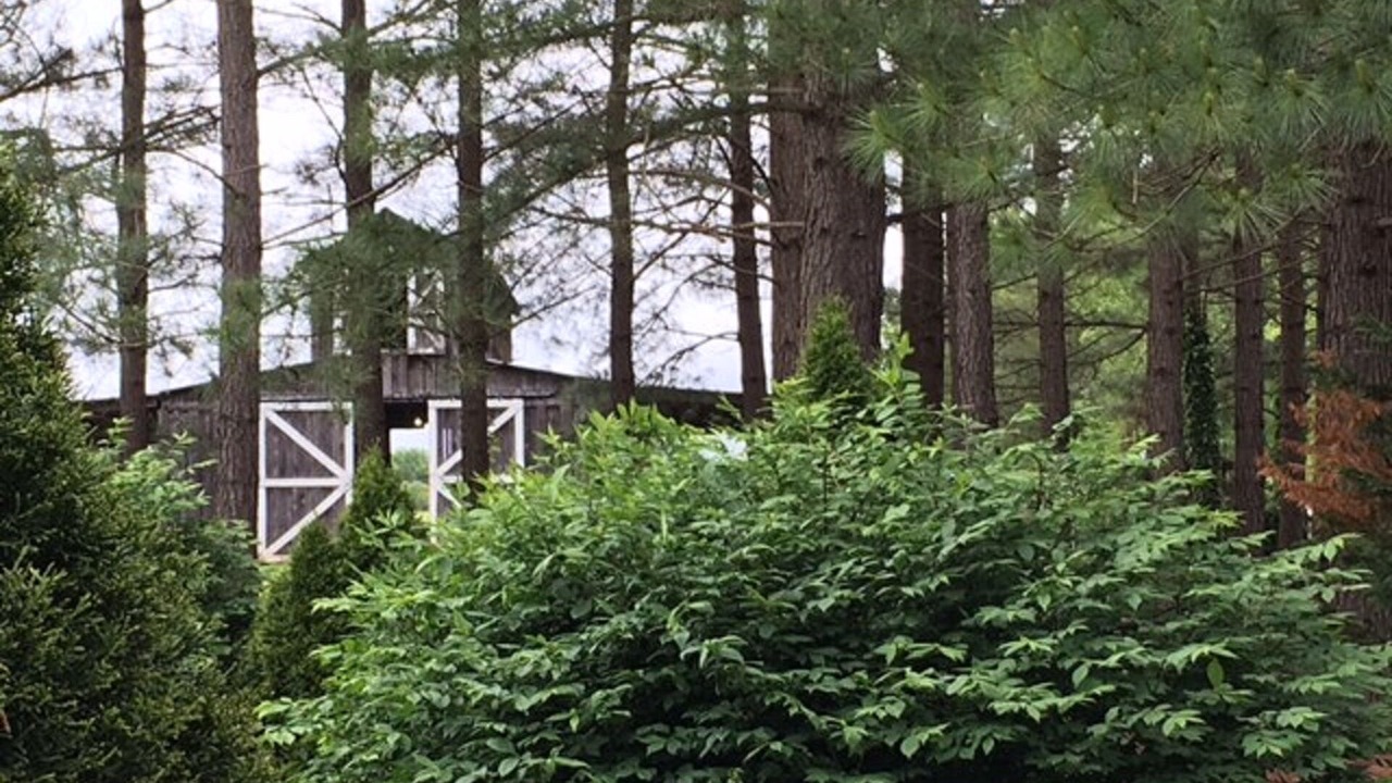 Photo of Outdoor in Unionville