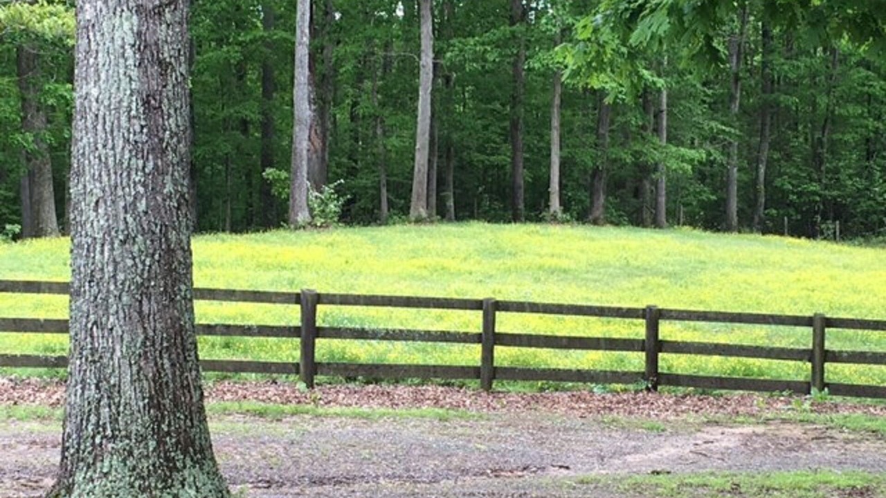 Photo of Outdoor in Unionville