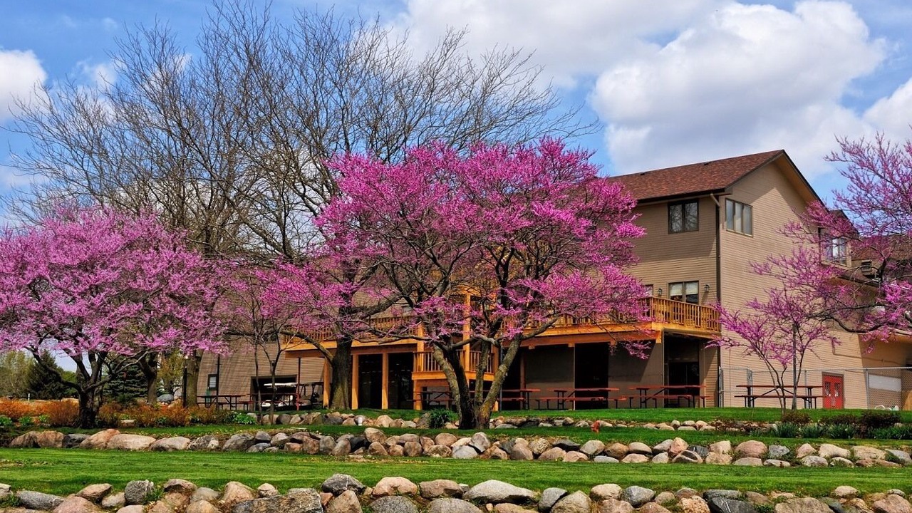 Photo of Outdoor in Panora