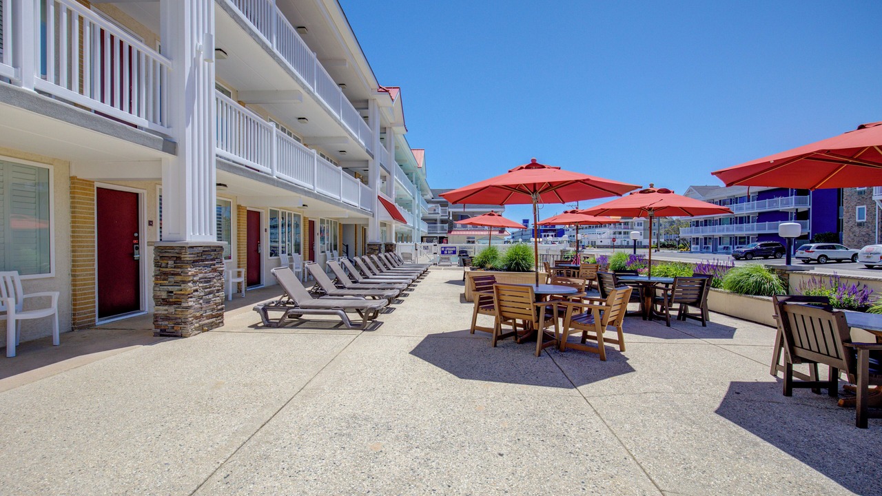 Photo of Outdoor in Avalon