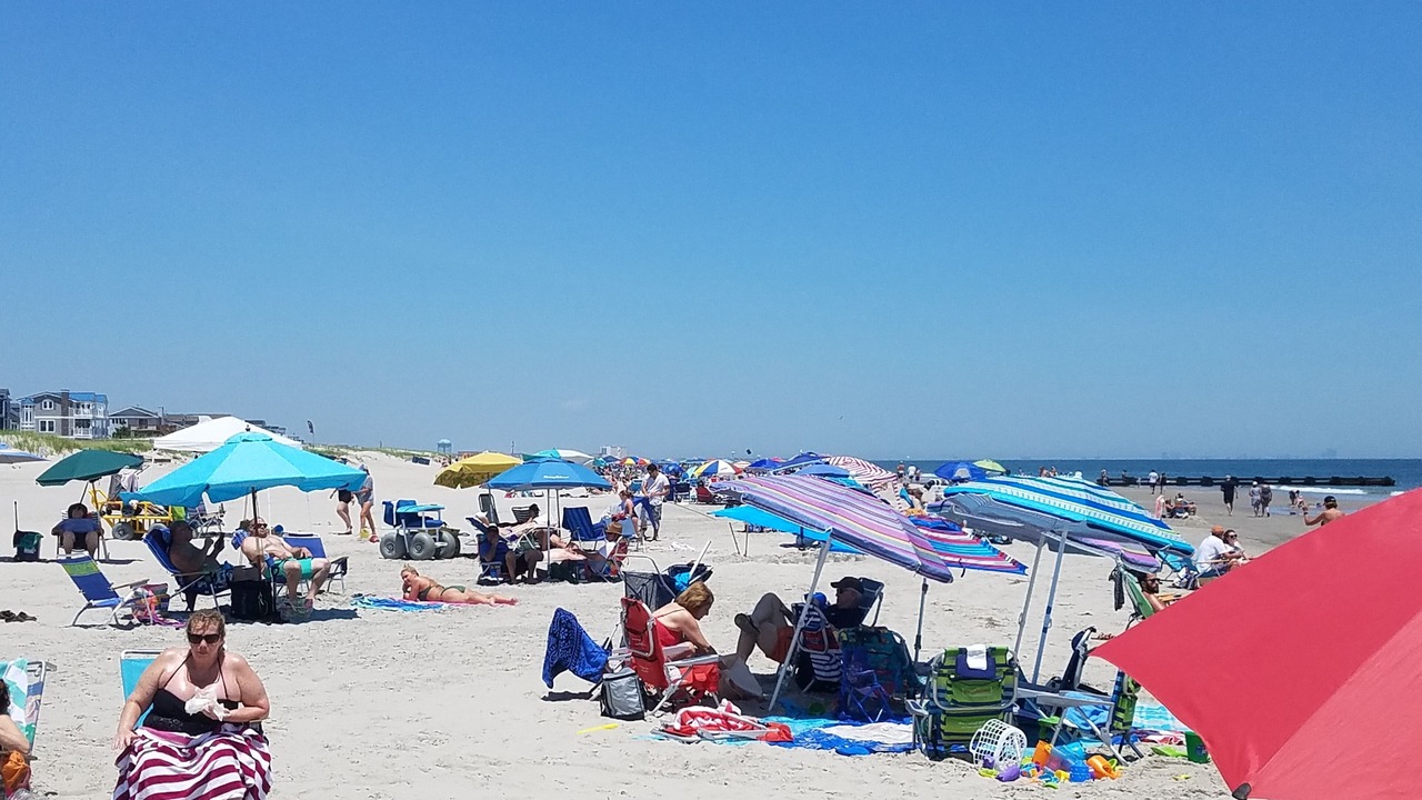 Photo of Others in Townsend's Inlet
