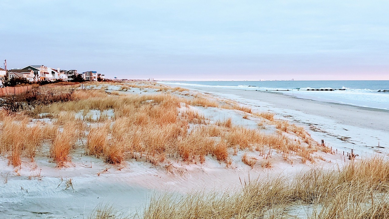 Photo of Others in Townsend's Inlet
