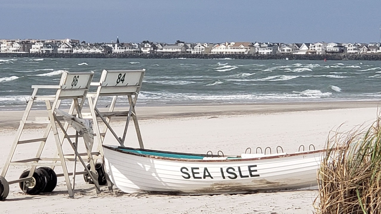 Photo of Others in Townsend's Inlet