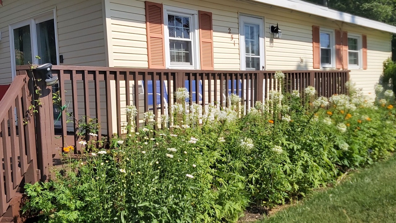 Photo of Outdoor in Green Creek
